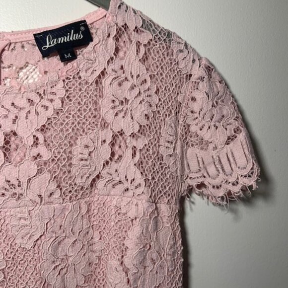 Lamilus Soft Pink Lace Crochet Floral Wedding Cocktail Party Dress - Size M - Picture 4 of 8